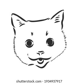 Vector Drawings Sketches Head Of A Cat Hand Are Drawn In Ink By Hand , Objects With No Background Logo, Tattoo