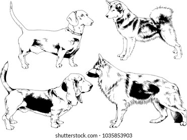 vector drawings sketches pedigree dogs in the racks drawn in ink by hand , objects with no background