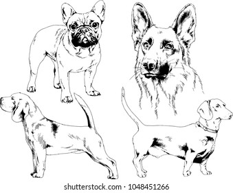 vector drawings sketches pedigree dogs in the racks drawn in ink by hand , objects with no background
