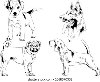 vector drawings sketches pedigree dogs in the racks drawn in ink by hand , objects with no background
