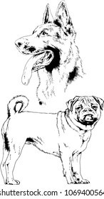 vector drawings sketches pedigree dogs in the racks drawn in ink by hand , objects with no background
