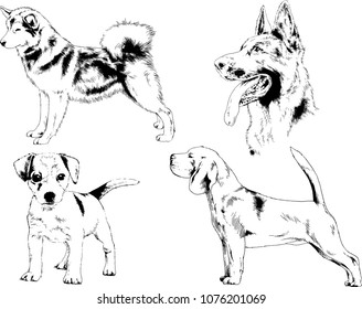 vector drawings sketches pedigree dogs in the racks drawn in ink by hand , objects with no background
