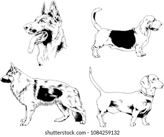 vector drawings sketches pedigree dogs in the racks drawn in ink by hand , objects with no background
