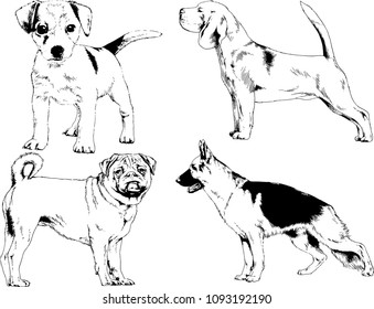 vector drawings sketches pedigree dogs in the racks drawn in ink by hand , objects with no background
