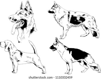 vector drawings sketches pedigree dogs in the racks drawn in ink by hand , objects with no background
