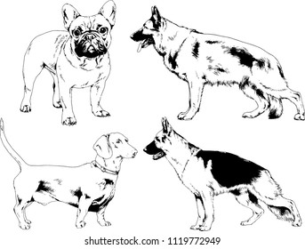 vector drawings sketches pedigree dogs in the racks drawn in ink by hand , objects with no background