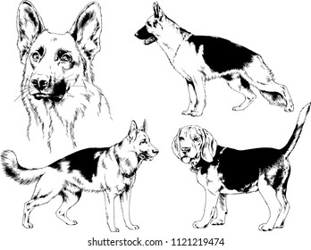 vector drawings sketches pedigree dogs in the racks drawn in ink by hand , objects with no background