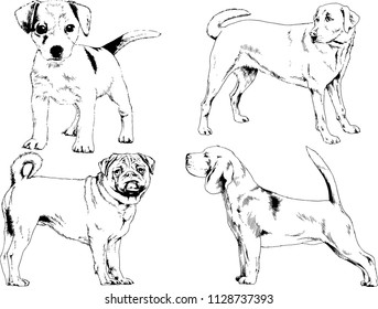 vector drawings sketches pedigree dogs in the racks drawn in ink by hand , objects with no background