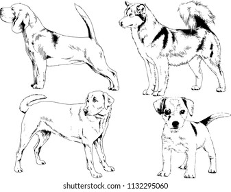 vector drawings sketches pedigree dogs in the racks drawn in ink by hand , objects with no background
