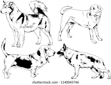 vector drawings sketches pedigree dogs in the racks drawn in ink by hand , objects with no background