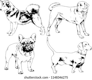 vector drawings sketches pedigree dogs in the racks drawn in ink by hand , objects with no background