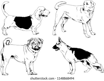 vector drawings sketches pedigree dogs in the racks drawn in ink by hand , objects with no background