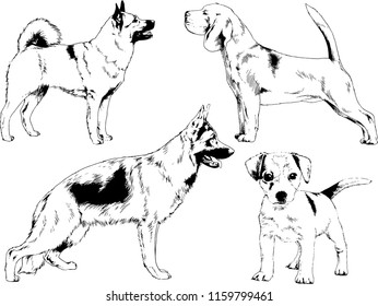 vector drawings sketches pedigree dogs in the racks drawn in ink by hand , objects with no background