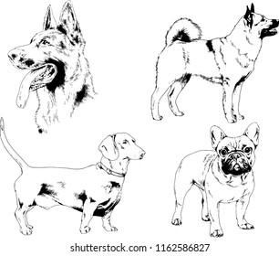 vector drawings sketches pedigree dogs in the racks drawn in ink by hand , objects with no background