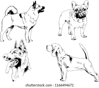 vector drawings sketches pedigree dogs in the racks drawn in ink by hand , objects with no background