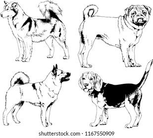 vector drawings sketches pedigree dogs in the racks drawn in ink by hand , objects with no background