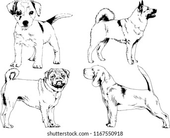 vector drawings sketches pedigree dogs in the racks drawn in ink by hand , objects with no background