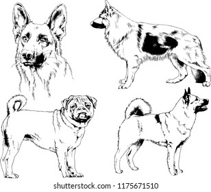 vector drawings sketches pedigree dogs in the racks drawn in ink by hand , objects with no background