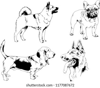 vector drawings sketches pedigree dogs in the racks drawn in ink by hand , objects with no background