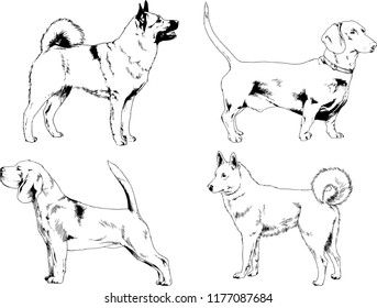 vector drawings sketches pedigree dogs in the racks drawn in ink by hand , objects with no background