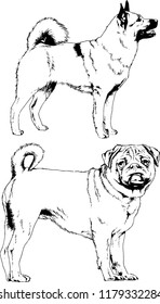 vector drawings sketches pedigree dogs in the racks drawn in ink by hand , objects with no background