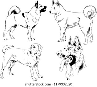 vector drawings sketches pedigree dogs in the racks drawn in ink by hand , objects with no background