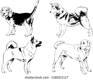 vector drawings sketches pedigree dogs in the racks drawn in ink by hand , objects with no background