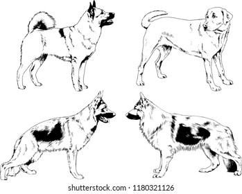 vector drawings sketches pedigree dogs in the racks drawn in ink by hand , objects with no background