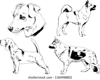 vector drawings sketches pedigree dogs in the racks drawn in ink by hand , objects with no background