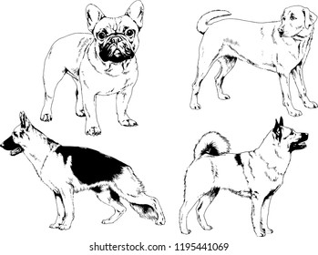 vector drawings sketches pedigree dogs in the racks drawn in ink by hand , objects with no background