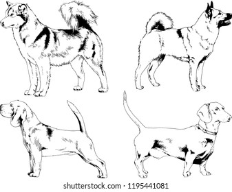 vector drawings sketches pedigree dogs in the racks drawn in ink by hand , objects with no background