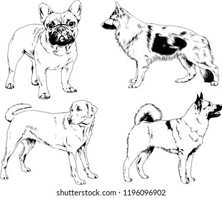 vector drawings sketches pedigree dogs in the racks drawn in ink by hand , objects with no background