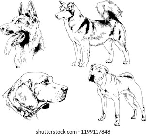 7,642 Draw dog side Images, Stock Photos & Vectors | Shutterstock