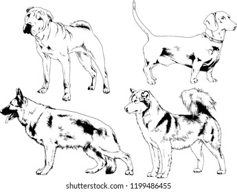 vector drawings sketches pedigree dogs in the racks drawn in ink by hand , objects with no background