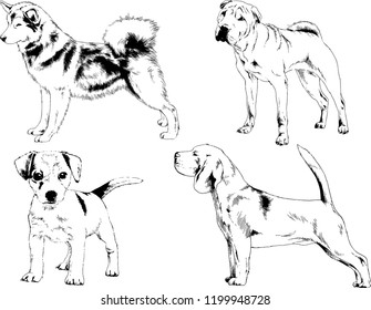 vector drawings sketches pedigree dogs in the racks drawn in ink by hand , objects with no background