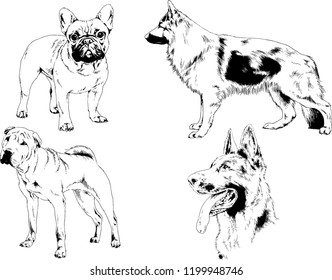 vector drawings sketches pedigree dogs in the racks drawn in ink by hand , objects with no background