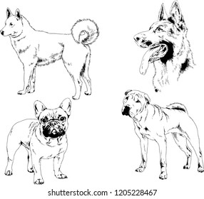 vector drawings sketches pedigree dogs in the racks drawn in ink by hand , objects with no background