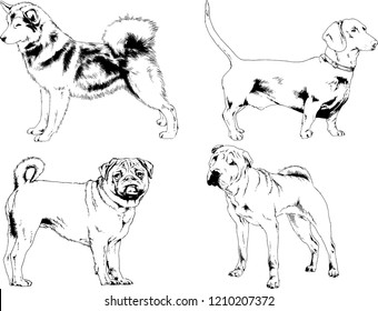 vector drawings sketches pedigree dogs in the racks drawn in ink by hand , objects with no background