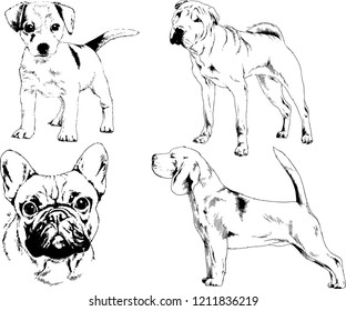 vector drawings sketches pedigree dogs in the racks drawn in ink by hand , objects with no background