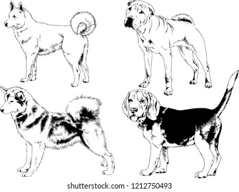 vector drawings sketches pedigree dogs in the racks drawn in ink by hand , objects with no background