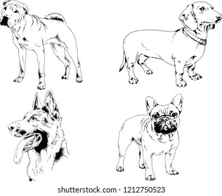 vector drawings sketches pedigree dogs in the racks drawn in ink by hand , objects with no background
