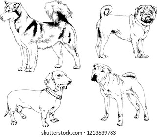 vector drawings sketches pedigree dogs in the racks drawn in ink by hand , objects with no background