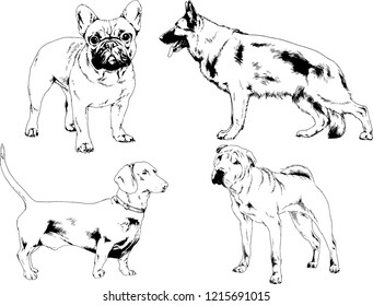 vector drawings sketches pedigree dogs in the racks drawn in ink by hand , objects with no background