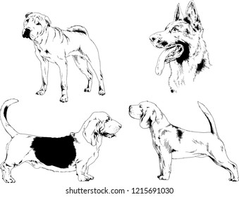 vector drawings sketches pedigree dogs in the racks drawn in ink by hand , objects with no background