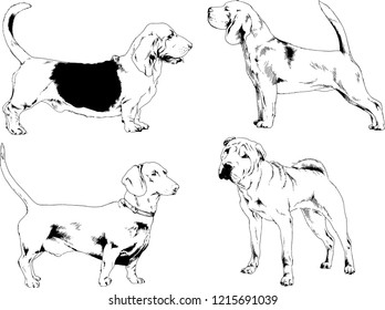 vector drawings sketches pedigree dogs in the racks drawn in ink by hand , objects with no background