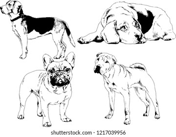 vector drawings sketches pedigree dogs in the racks drawn in ink by hand , objects with no background