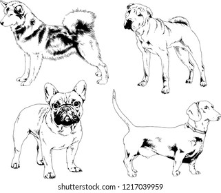 vector drawings sketches pedigree dogs in the racks drawn in ink by hand , objects with no background