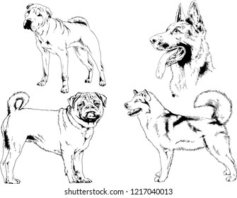 vector drawings sketches pedigree dogs in the racks drawn in ink by hand , objects with no background