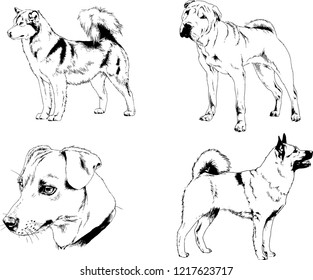 vector drawings sketches pedigree dogs in the racks drawn in ink by hand , objects with no background