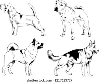 vector drawings sketches pedigree dogs in the racks drawn in ink by hand , objects with no background